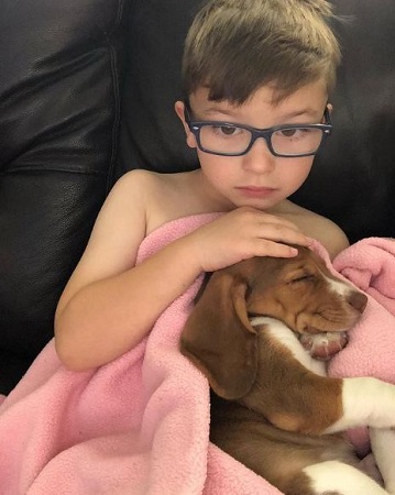 Ryder Allen Wiki, altura, edad, familia, películas, biografía y más 2 Ryder Allen con su mascota Carmel