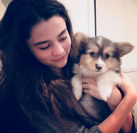 Lola Flanery Wiki, altura, edad, novio, familia, biografía y más 44 Lola Flanery con su perro Gizmo