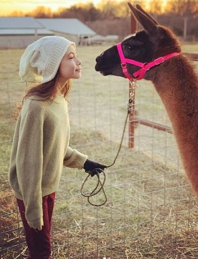 Wiki, edad, altura, familia, películas, biografía y más 22 Hala Finley con su llama mascota - LaDonna