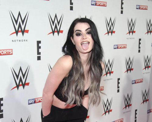 Paige (wrestler): Wiki, biografía, edad, patrimonio, relaciones, familia y más 2 Paige (luchadora)