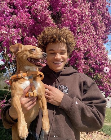 Armani Jackson Wiki, altura, edad, novia, familia, biografía y más 30 Armani Jackson está con su perro llamado Chelsea.